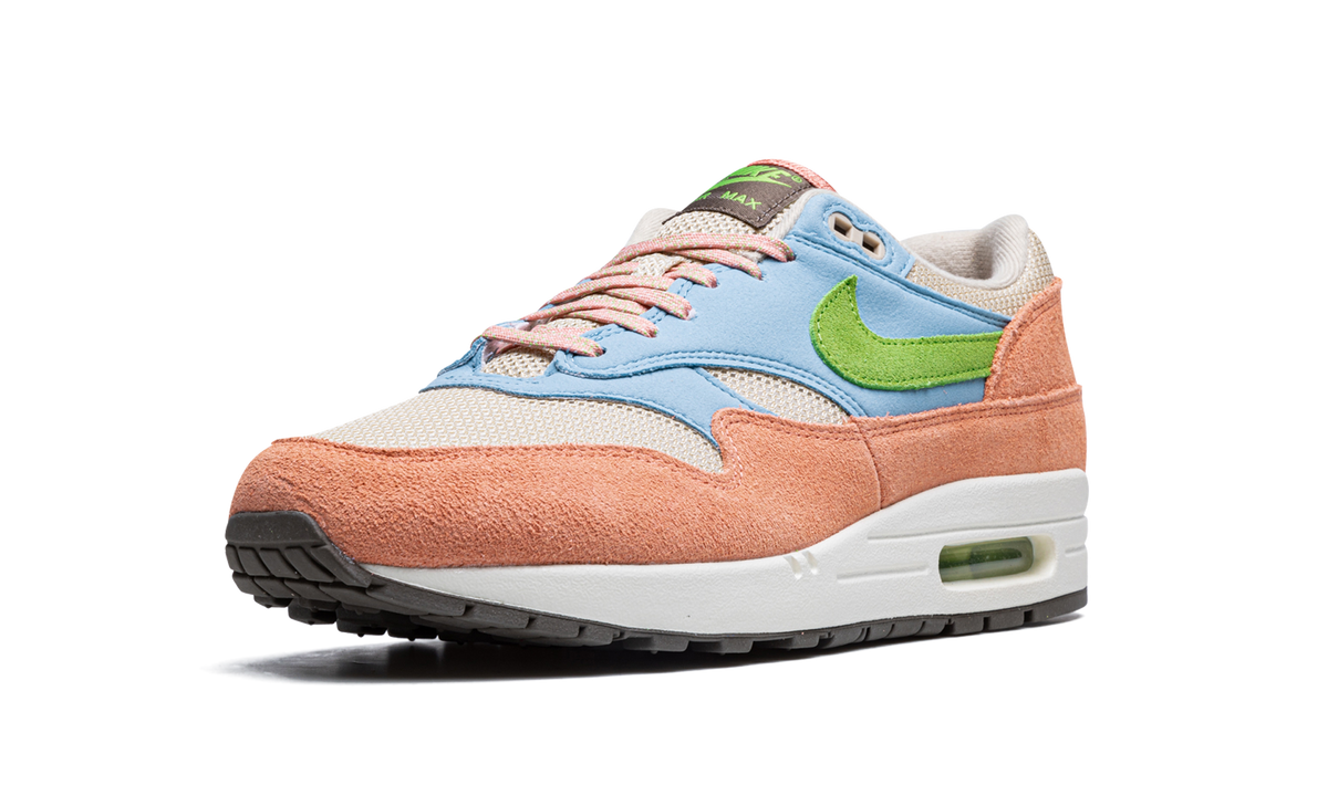 Air Max 1 "Light Madder Root" DV3196 800