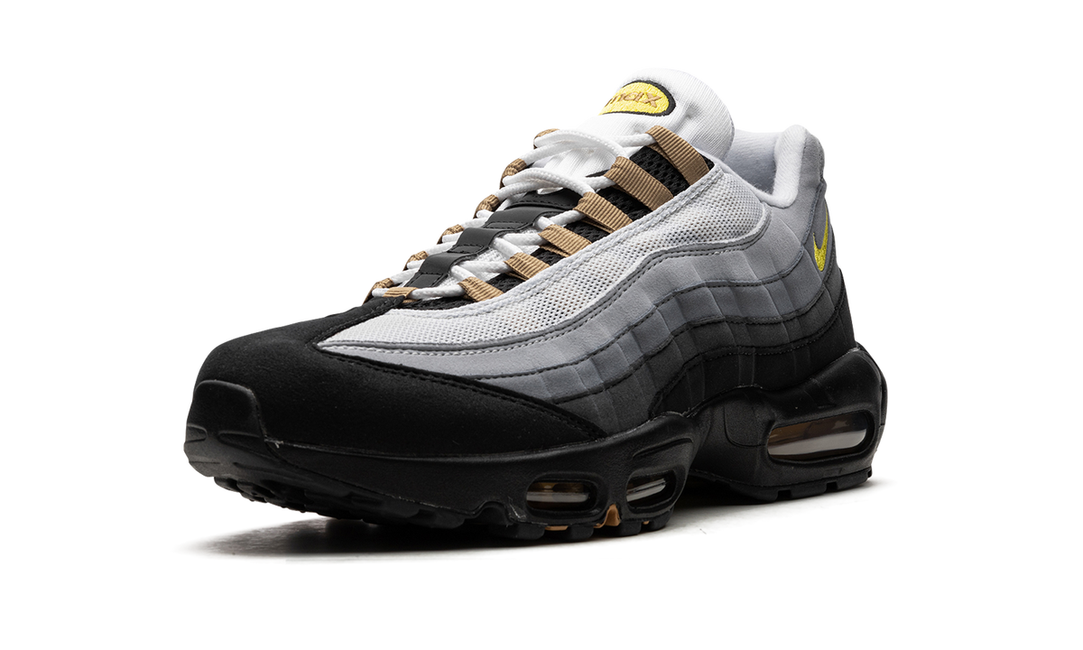 Air Max 95 "ICONS" DX4236 100