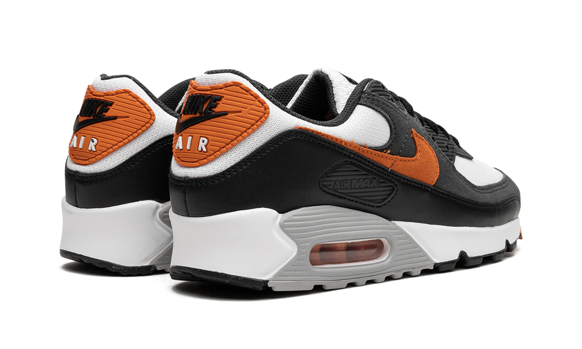 Air Max 90 "Starfish" DM0029 101