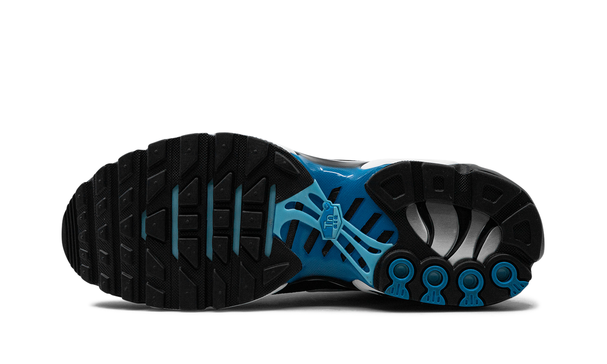 Air Max Plus "Aquarius Blue" DM0032 402
