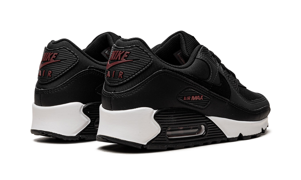 Air Max 90 "Anthracite Team Red" DQ4071 001