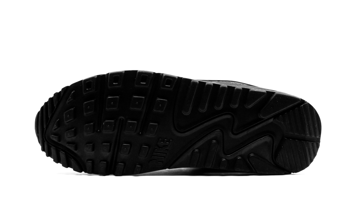 Air Max 90 "Iron Grey" CN8490 002