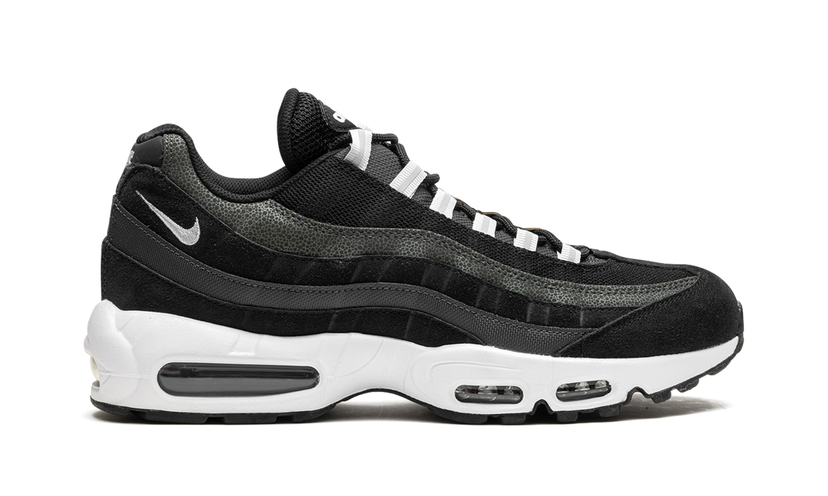 Air Max 95 "Black / Pure Platinum" DM0011 009