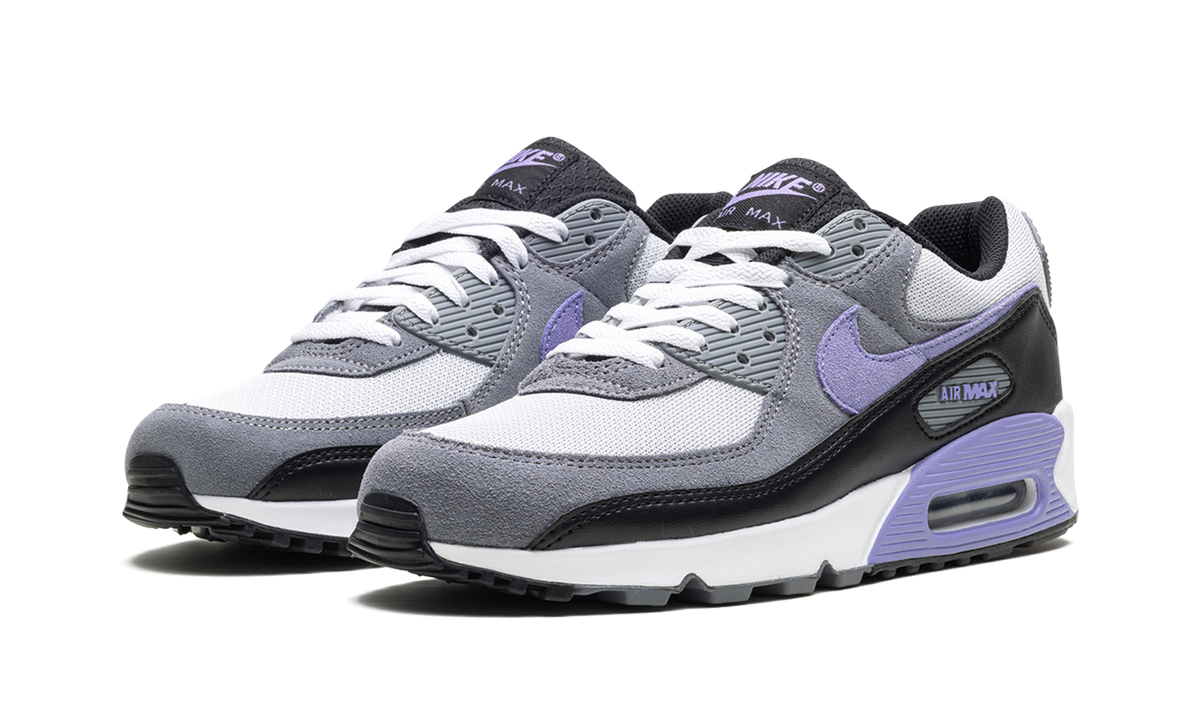 Air Max 90 "Light Thistle" DM0029 014