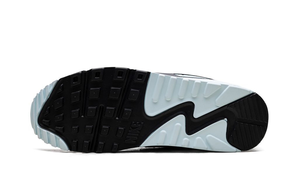 Air Max 90 "Pumice" DM0029 009