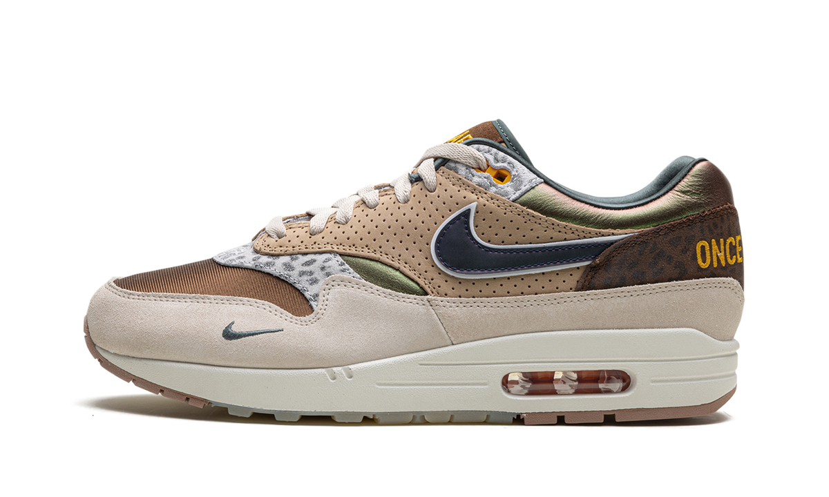Air Max 1 '87 Premium "University of Oregon PE 2024" HQ2640 200