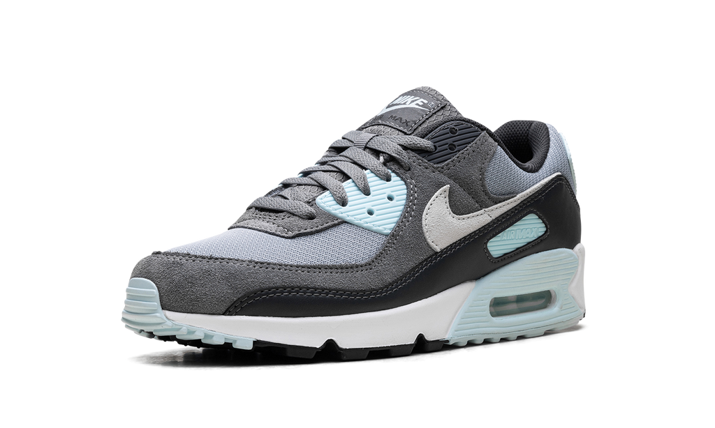 Air Max 90 "Pumice" DM0029 009